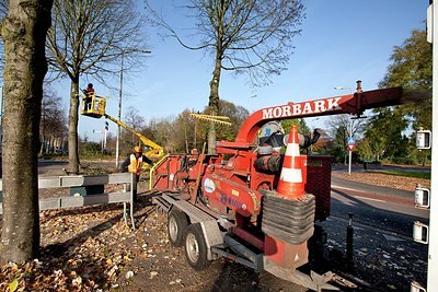 BUITEN BEELD Foto: 148510