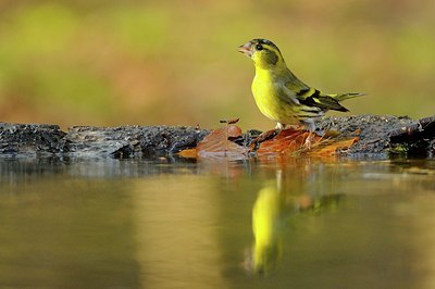 BUITEN BEELD Foto: 148536