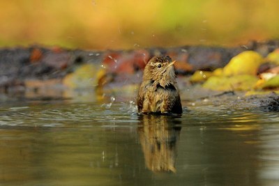 BUITEN BEELD Foto: 148601