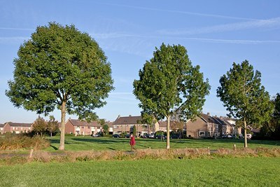 BUITEN BEELD Foto: 148606
