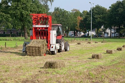 BUITEN BEELD Foto: 148607