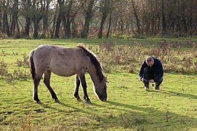 BUITEN BEELD Foto: 148626