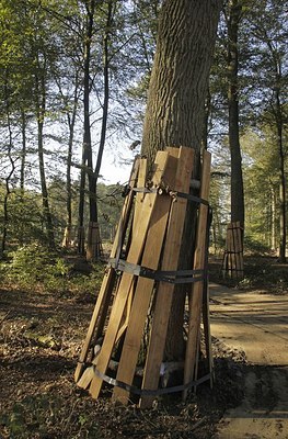 BUITEN BEELD Foto: 148636
