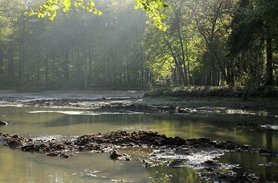 BUITEN BEELD Foto: 148640