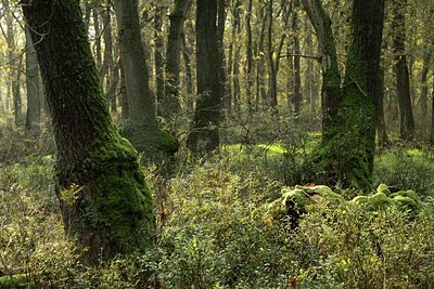 BUITEN BEELD Foto: 148645