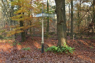 BUITEN BEELD Foto: 148677