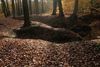 BUITEN BEELD Foto: 148679