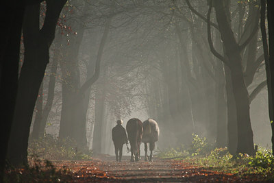 BUITEN BEELD Foto: 148687