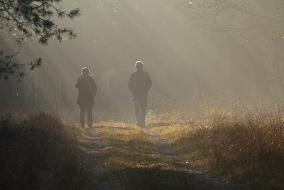 BUITEN BEELD Foto: 148689