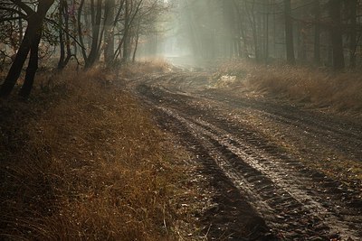 BUITEN BEELD Foto: 148708