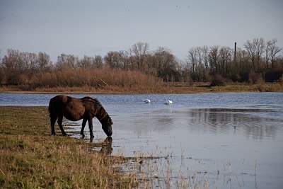 BUITEN BEELD Foto: 148712