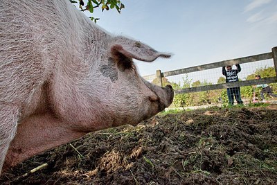 BUITEN BEELD Foto: 148722