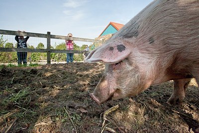BUITEN BEELD Foto: 148723