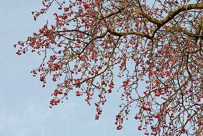 BUITEN BEELD Foto: 148731