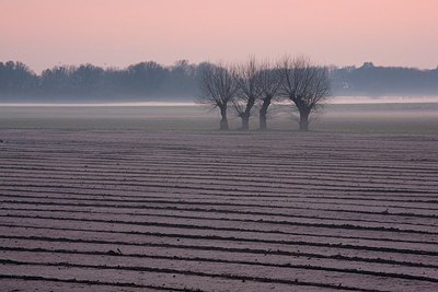 BUITEN BEELD Foto: 148738