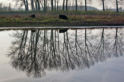 BUITEN BEELD Foto: 148739