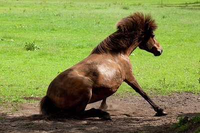 BUITEN BEELD Foto: 148764
