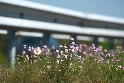 BUITEN BEELD Foto: 148765