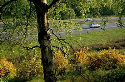 BUITEN BEELD Foto: 148769