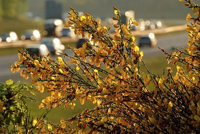 BUITEN BEELD Foto: 148773