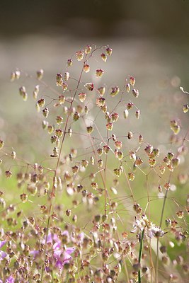 BUITEN BEELD Foto: 148776