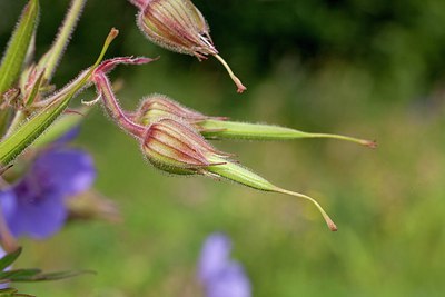 BUITEN BEELD Foto: 148790