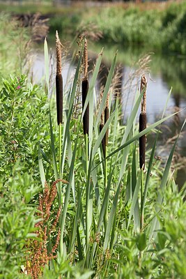 BUITEN BEELD Foto: 148805