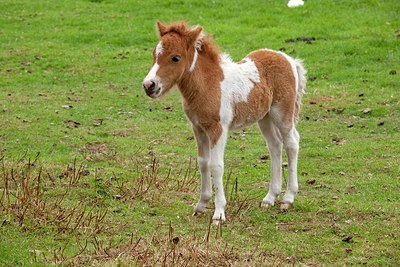 BUITEN BEELD Foto: 148829