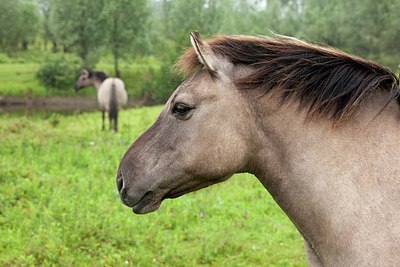 BUITEN BEELD Foto: 148834