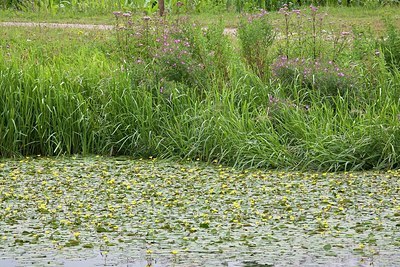BUITEN BEELD Foto: 148838