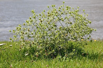 BUITEN BEELD Foto: 148841