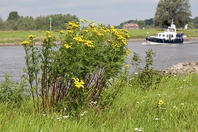 BUITEN BEELD Foto: 148842