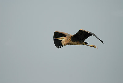 BUITEN BEELD Foto: 14008