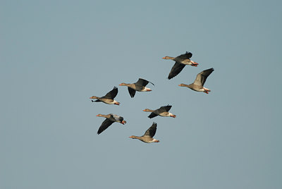 BUITEN BEELD Foto: 14015