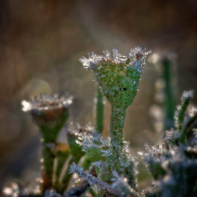 BUITEN BEELD Foto: 14019