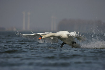 BUITEN BEELD Foto: 14103