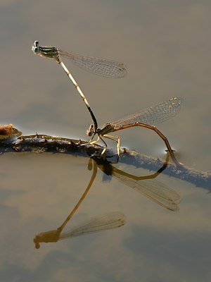 BUITEN BEELD Foto: 14108