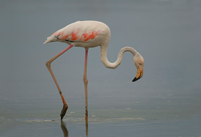BUITEN BEELD Foto: 14120