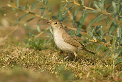 BUITEN BEELD Foto: 14138