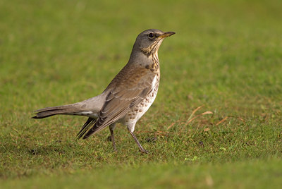 BUITEN BEELD Foto: 14147