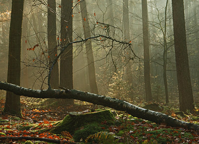 BUITEN BEELD Foto: 14197