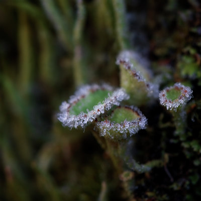 BUITEN BEELD Foto: 14227