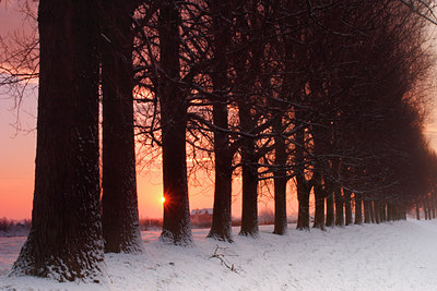 BUITEN BEELD Foto: 14230