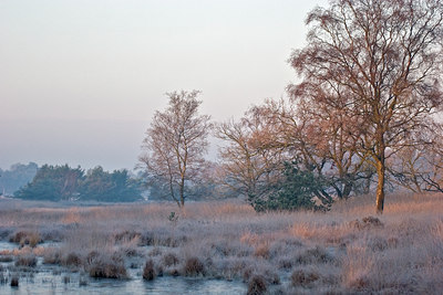 BUITEN BEELD Foto: 14339