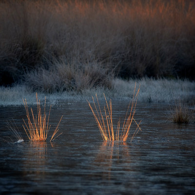 BUITEN BEELD Foto: 14340