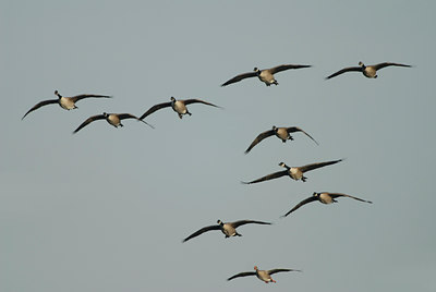 BUITEN BEELD Foto: 14354
