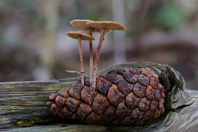 BUITEN BEELD Foto: 14440