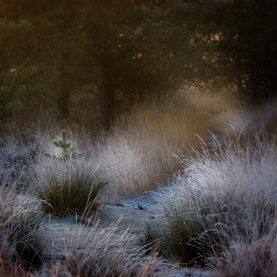 BUITEN BEELD Foto: 14464