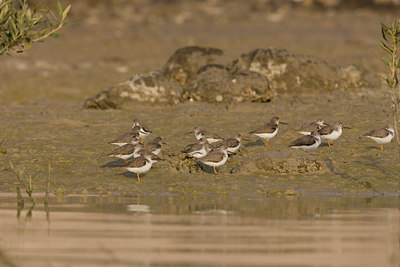 BUITEN BEELD Foto: 14562