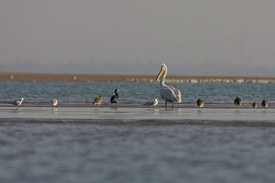 BUITEN BEELD Foto: 14569
